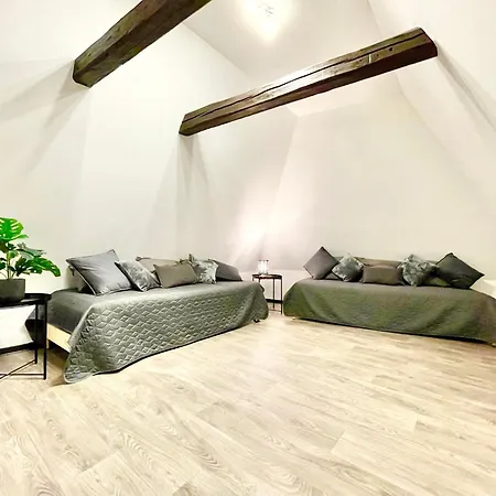 Centre - Wifi Fibre - Terrasse - Garage 2 Places - Netflix Soultz-Haut-Rhin