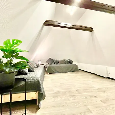 Centre - Wifi Fibre - Terrasse - Garage 2 Places - Netflix Soultz-Haut-Rhin