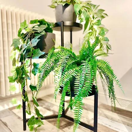 Centre - Wifi Fibre - Terrasse - Garage 2 Places - Netflix *