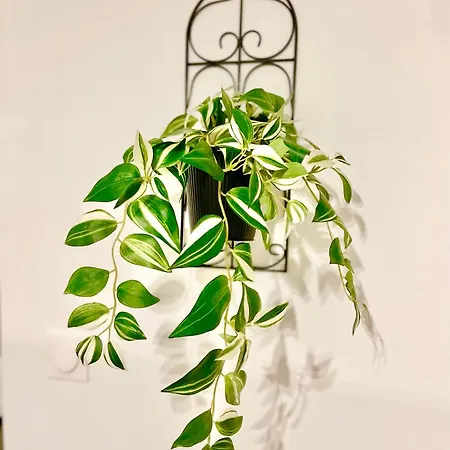 Centre - Wifi Fibre - Terrasse - Garage 2 Places - Netflix * Soultz-Haut-Rhin