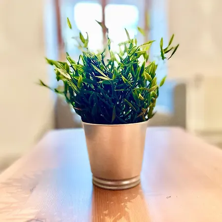 Appartamento Centre - Wifi Fibre - Terrasse - Garage 2 Places - Netflix