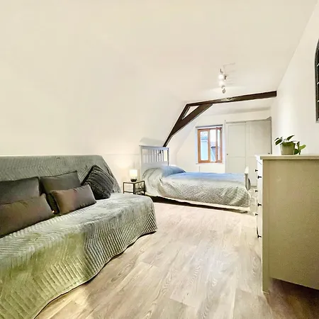 Centre - Wifi Fibre - Terrasse - Garage 2 Places - Netflix * Soultz-Haut-Rhin