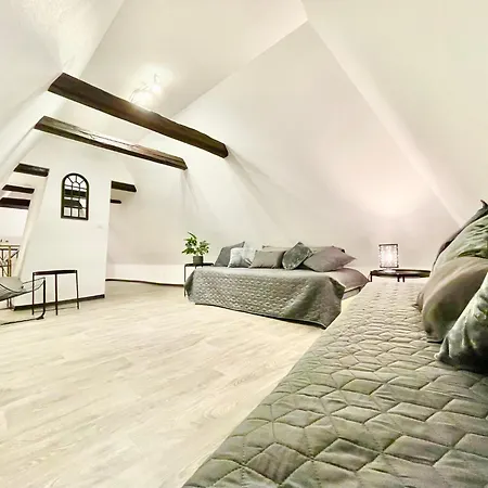 Centre - Wifi Fibre - Terrasse - Garage 2 Places - Netflix Appartamento Soultz-Haut-Rhin